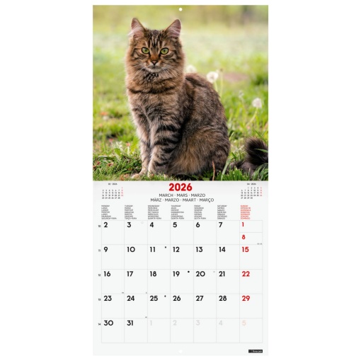 Calendário de parede 2026 FINOCAM 30x30cm Cats 781225426