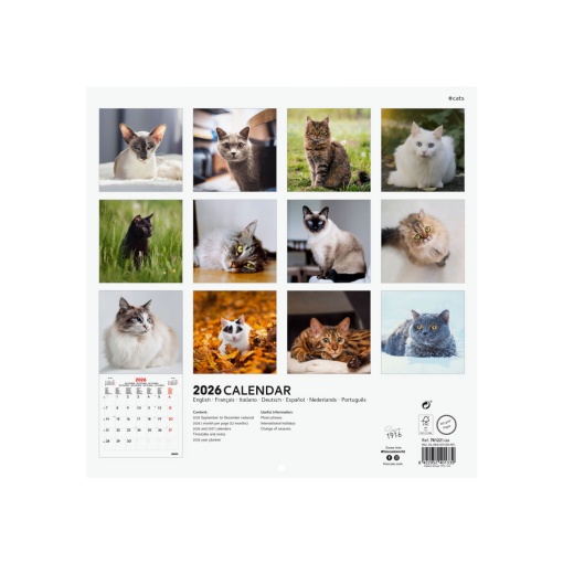 Calendário de parede 2026 FINOCAM 30x30cm Cats 781225426
