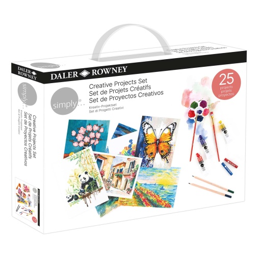 Conjunto de pintura DALER-ROWNEY Simply Project 25 projetos