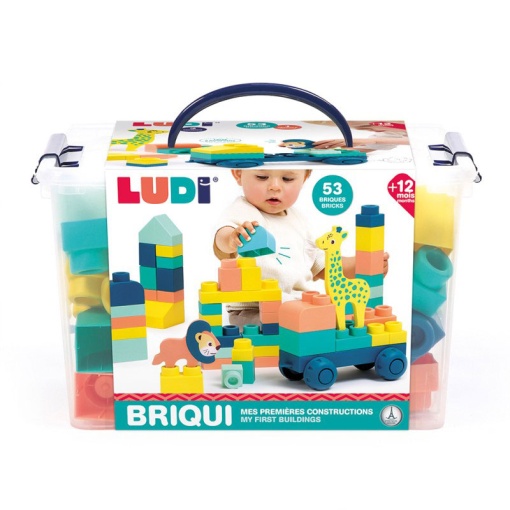 Briqui - veículo com blocos de construção LUDI