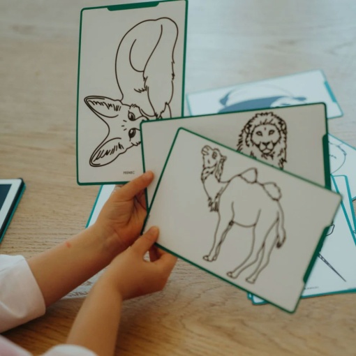 Recarga para Kidydraw - oceanos KIDYWOLF