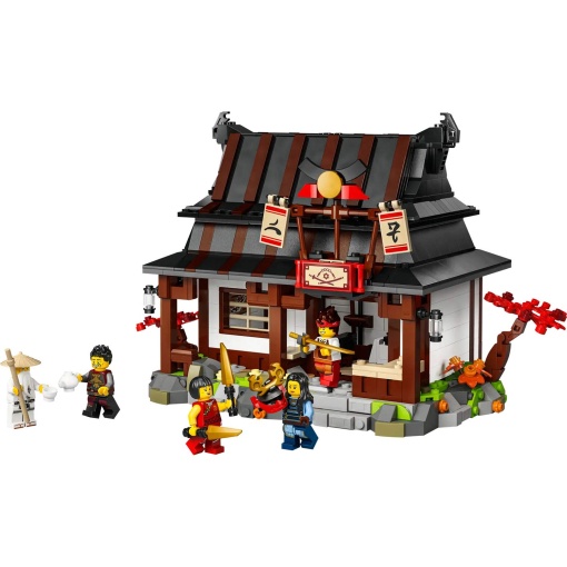 LEGO Ninjago Ferreiro ôQuatro Armasö - 15.º Aniversário 71858
