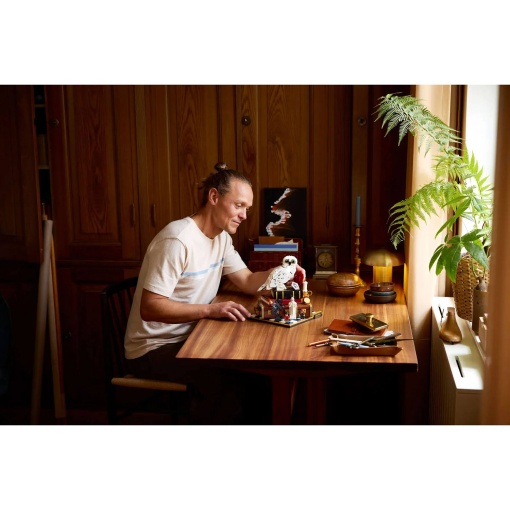 LEGO Harry Potter A Pedra Filosofal - Edição de Colecionador 76466