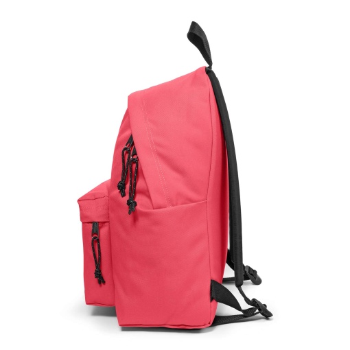 Mochila EASTPAK Padded Pak'r Cupcake Pink 40x30x18cm