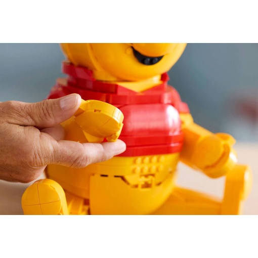 LEGO DISNEY Winnie the Pooh 43300