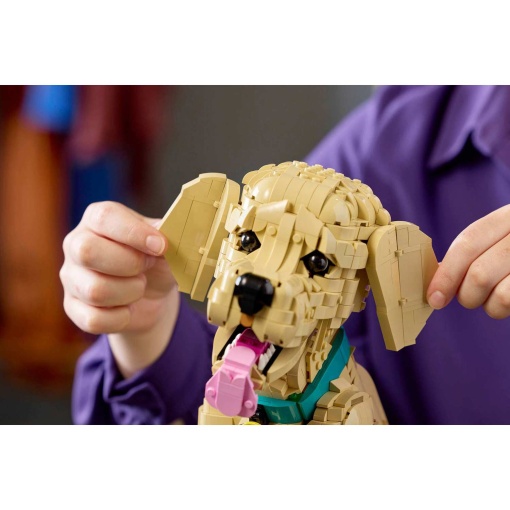 LEGO ICONS Cachorro Golden Retriever 11384