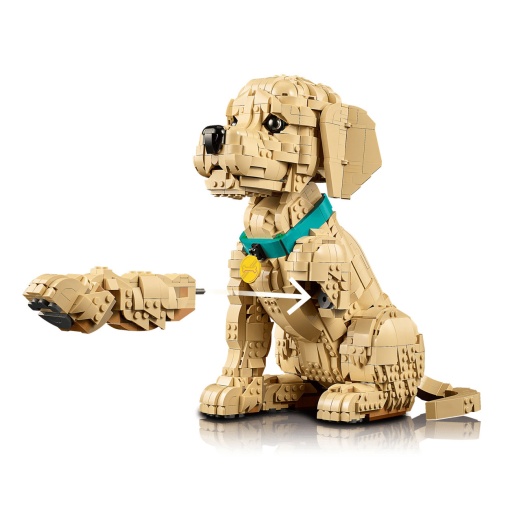 LEGO ICONS Cachorro Golden Retriever 11384