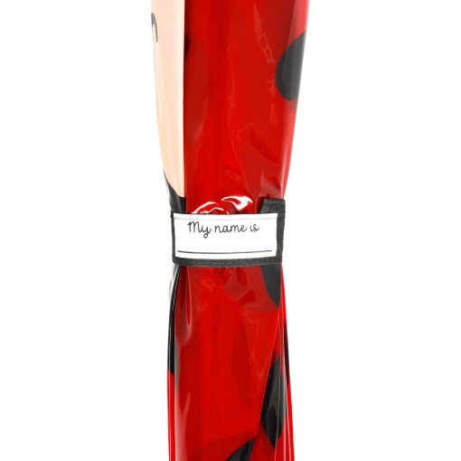 Guarda-chuva manual 65cm LEGAMI Ladybug "Dancin' in the rain"