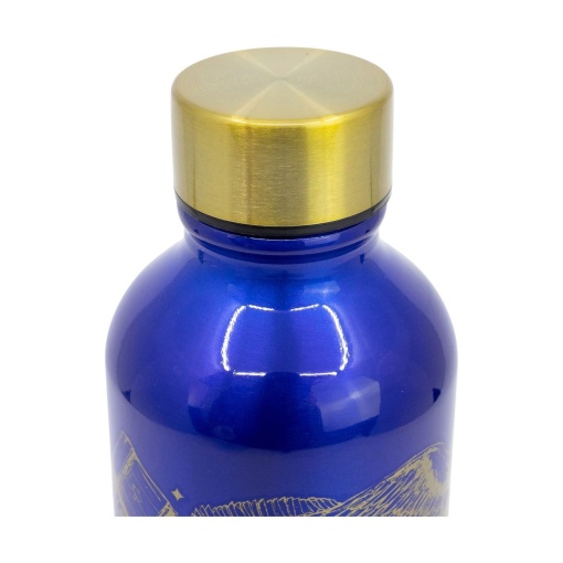 Garrafa de alumínio Trend Harry Potter Magic & Mayhem 740 ml 31059