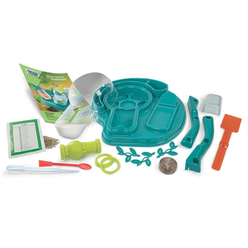 O observatório de insetos CLEMENTONI Ciência & Jogo Lab