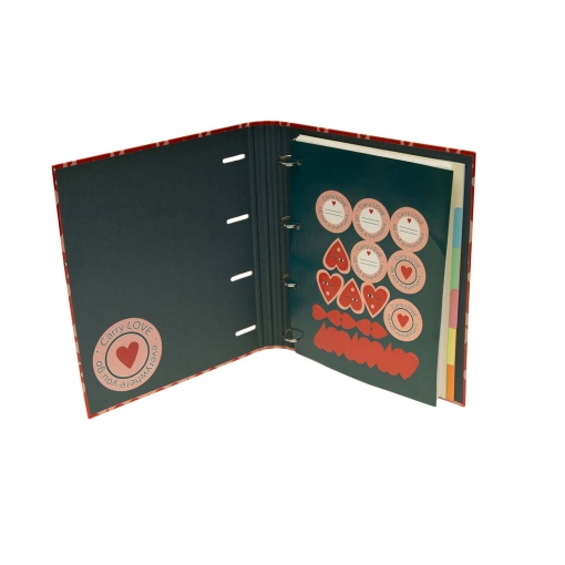 A4 school binder with lined refill + dividers ANCOR B'LOG Hearts narrow spine 4 rings