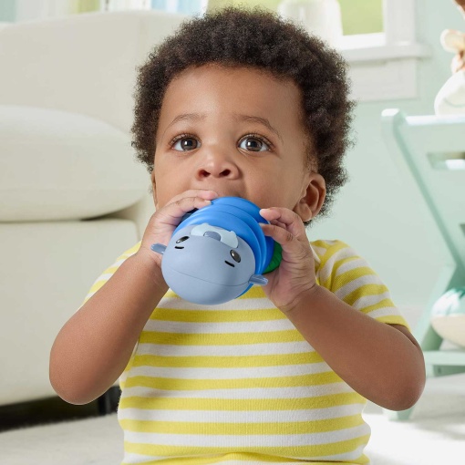 Fisher-Price Mattel SquishSeas silicone walrus Roca JHB54/JHB56