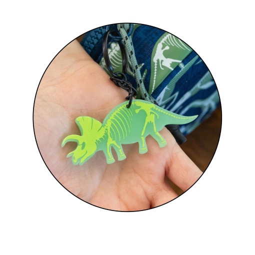 MIQUELRIUS Dinos Fossil oval case