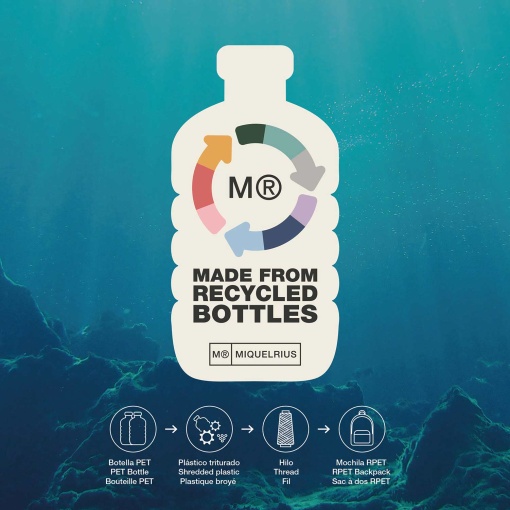 MIQUELRIUS Dinos Fossil oval case