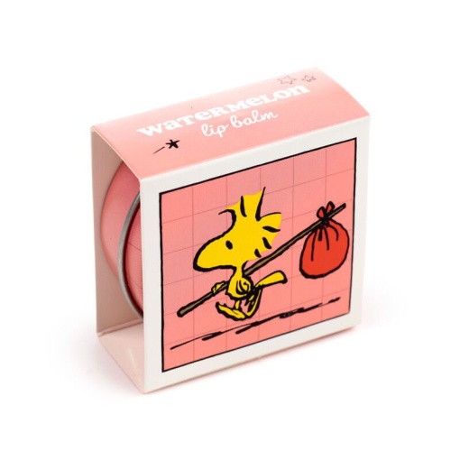 Peanuts Snoopy & Woodstock assorted lip balm in a tin