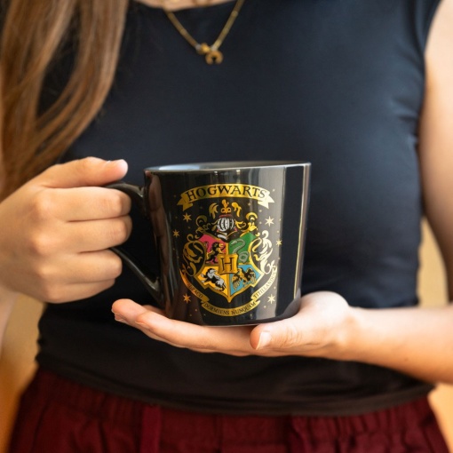 Caneca de cerâmica Harry Potter Hogwarts 350ml TAZP14