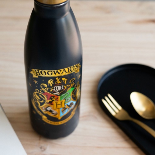 Termo de Harry Potter Hogwarts de 500 ml BMHC057