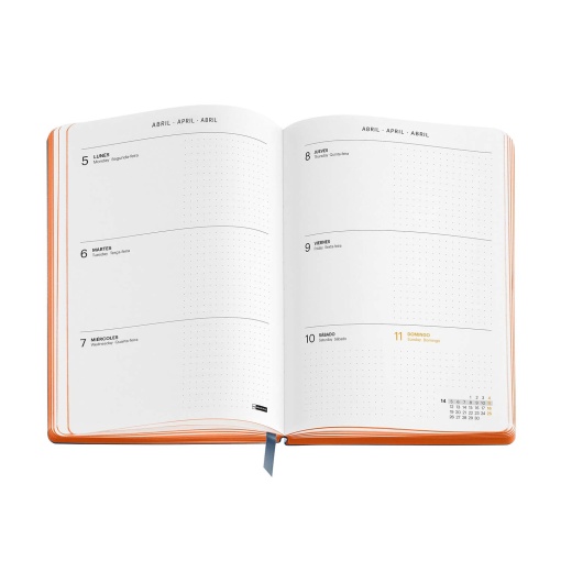 AGENDA ESCOLAR SEMANAL A5 2026/27 18 MESES MIQUELRIUS BACK TO BASICS MARINHO COM ELASTICO MR26926