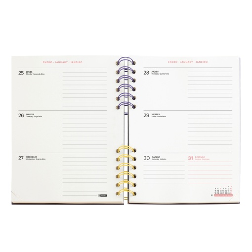 AGENDA ESCOLAR SEMANAL A5 2026/27 12 MESES ESPIRAL MIQUELRIUS PLUS BACK TO BASICS GRIS MR21341