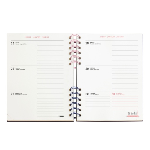 AGENDA ESCOLAR SEMANAL A5 2026/27 12 MESES ESPIRAL MIQUELRIUS PLUS BACK TO BASICS VERDE MR21344