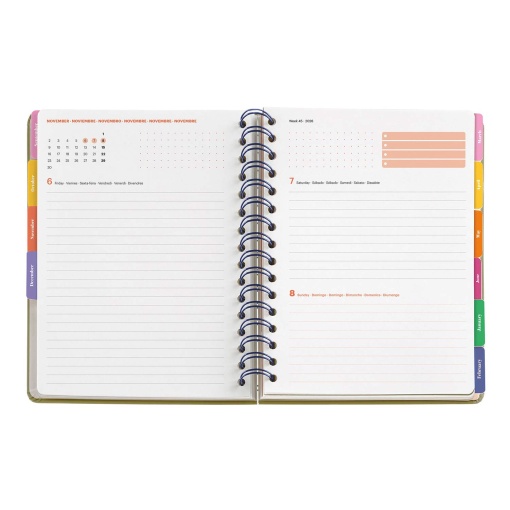 AGENDA ESCOLAR DIARIA A5 2026/27 12 MESES ESPIRAL MIQUELRIUS SANDRA HUTTER SUNNY LINES COM ELASTICO MR21335