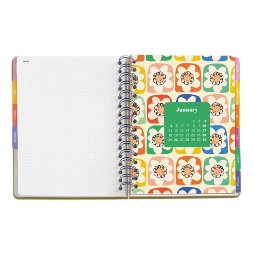 AGENDA ESCOLAR DIARIA A5 2026/27 12 MESES ESPIRAL MIQUELRIUS SANDRA HUTTER SUNNY LINES COM ELASTICO MR21335