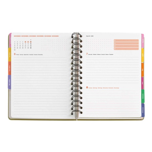 Agenda escolar diária A5 2026/27 12 meses espiral MIQUELRIUS Sandra Hutter Green Bloom com elástico