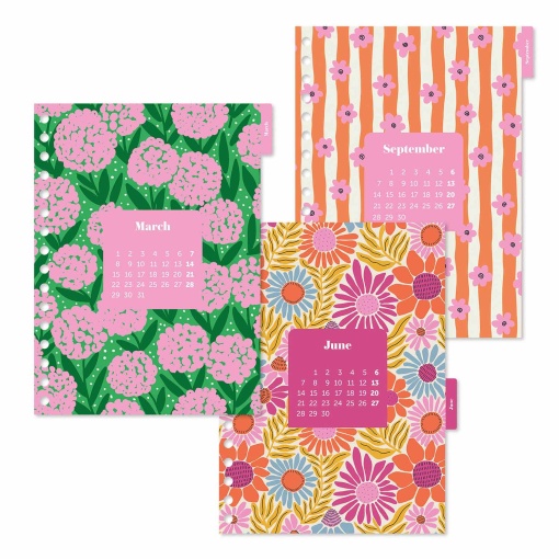 Agenda escolar diária A5 2026/27 12 meses espiral MIQUELRIUS Sandra Hutter Green Bloom com elástico