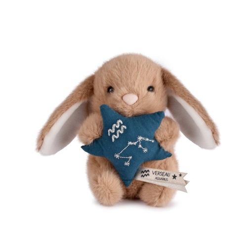 Conejo de peluche marrón 12cm DOUDOU ET COMPAGNIE Doudou Astro acuario