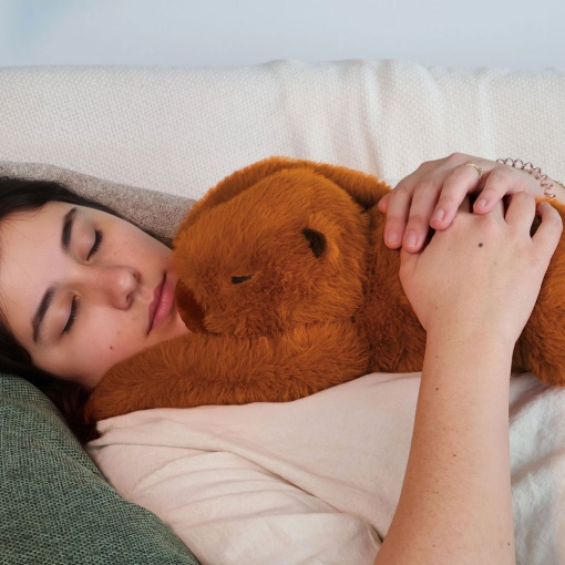 Capybara weight plush 50cm HISTOIRE D'OURS