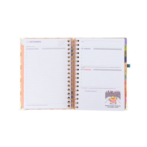 A5 Daily School Planner 2026/27 12 Months Spiral Bound MR. WONDERFUL "Magic in Everyday Life" with Elastic Band