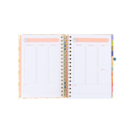 A5 Daily School Planner 2026/27 12 Months Spiral Bound MR. WONDERFUL "Magic in Everyday Life" with Elastic Band