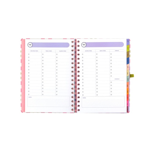 Weekly school planner A5 2026/27 12 months spiral bound MR. WONDERFUL "Live today, plan always" with elastic closure