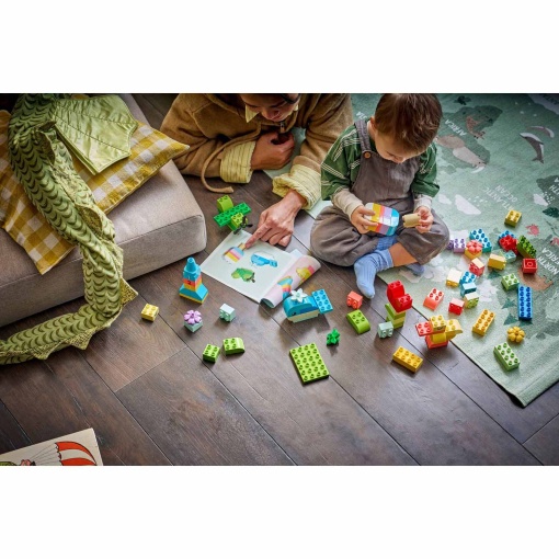 LEGO DUPLO caixa criativa colorida 10479