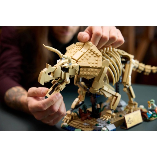 LEGO Jurassic World fósseis de dinossauros: Triceratops 77985