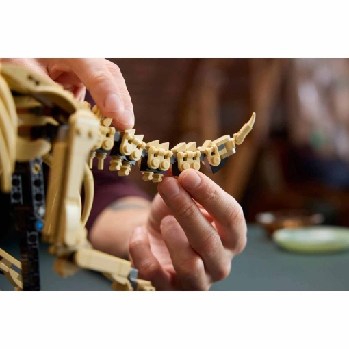 LEGO Jurassic World fósseis de dinossauros: Triceratops 77985