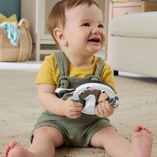 Anel de atividades guaxinim FISHER-PRICE MATTEL