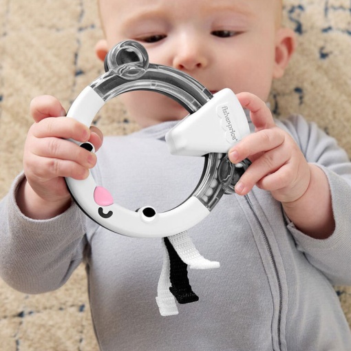 Anel de atividades guaxinim FISHER-PRICE MATTEL