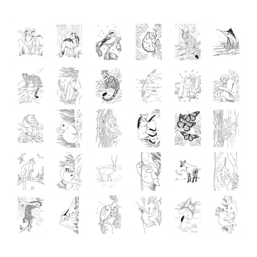 Tablero luminoso para pintar animales Kidywolf Kidydraw