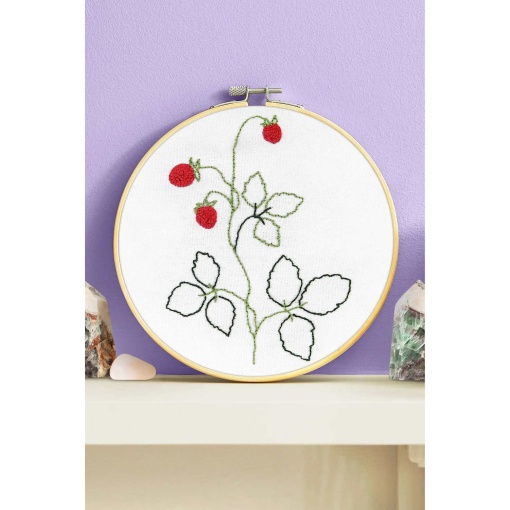 Kit Punch Needle fino DMC Aprende com DMC com moldura circular 15,5 cm morangos