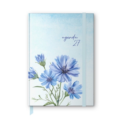 Agenda diária A5 2027 AMBAR Marbleous com elástico sortido