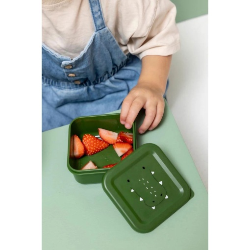Mr. Alligator Lunch Box (3 units) TRIXIE