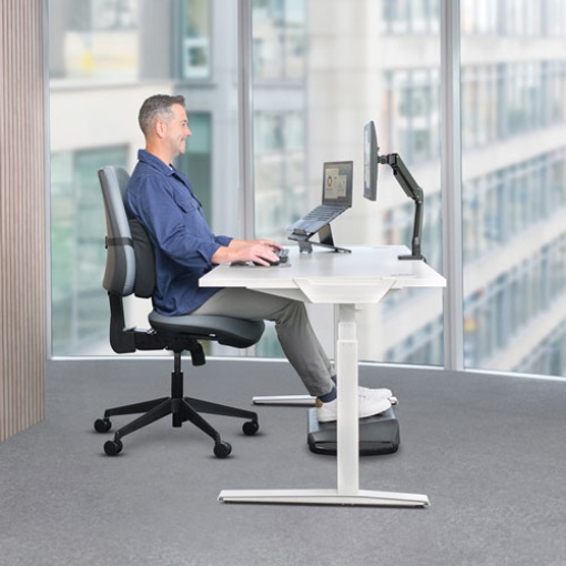 Fellowes Breyta Comfort ergonomic lumbar and back cushion