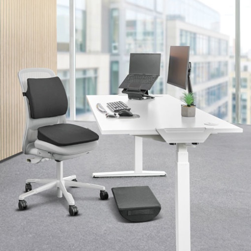 Fellowes Breyta Comfort ergonomic lumbar and back cushion