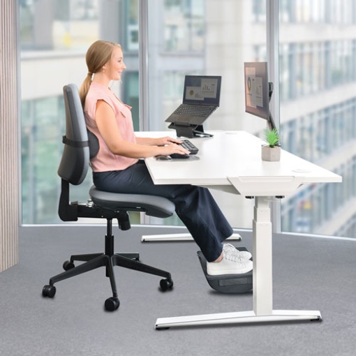 Almofada lombar ergonómica Fellowes Breyta