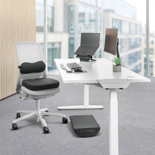 Almofada lombar ergonómica Fellowes Breyta