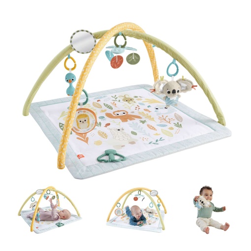 Ginásio infantil desperta os teus sentidos Fisher-Price Mattel JMN74