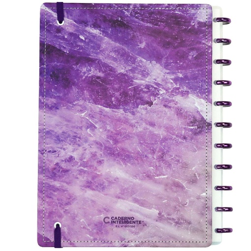 Caderno Inteligente grande (215x280mm) pautado Mineral Collection Mist