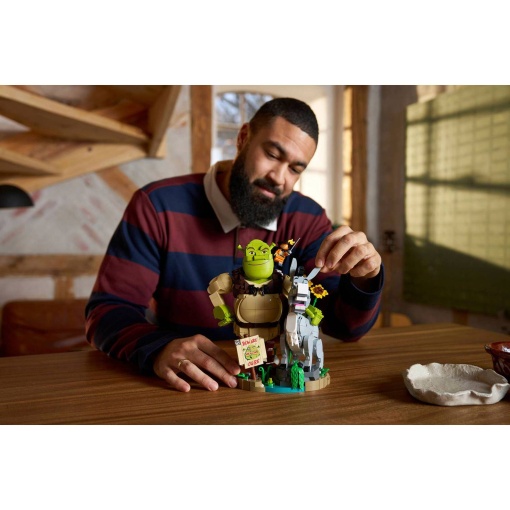 LEGO Shrek, Donkey and Puss in Boots 72423