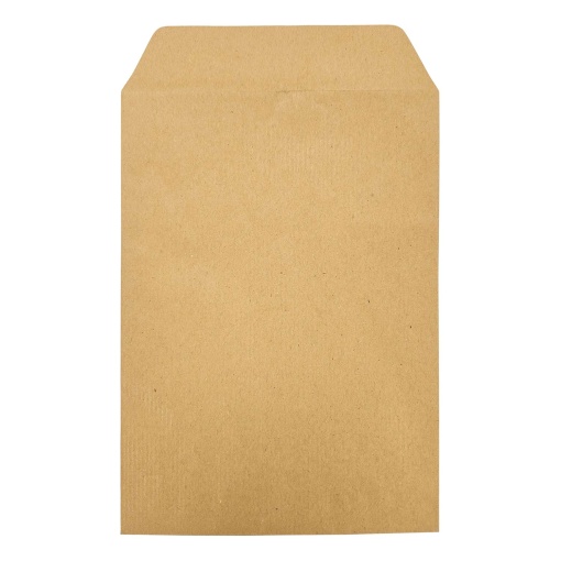 C5 type bag envelope 162x229mm 80g silicone kraft box with (250 units)